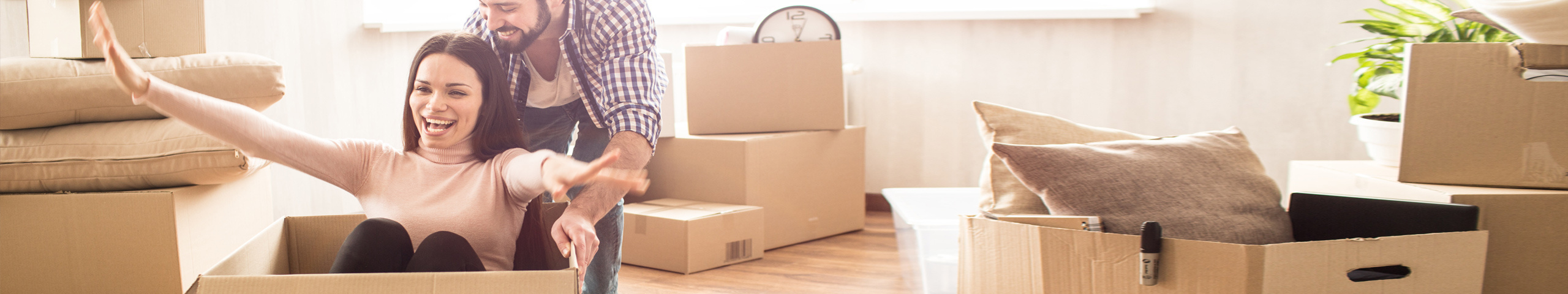 Kim Wilkes Kim Wilkes